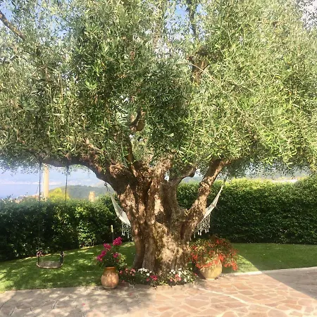 U Punente Bordighera